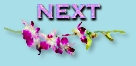 Next
